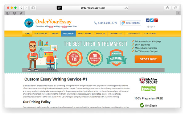 Essay writing services in the us